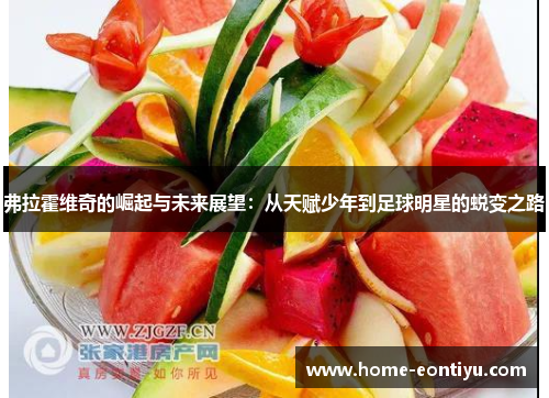弗拉霍维奇的崛起与未来展望：从天赋少年到足球明星的蜕变之路